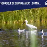 La Maison Du Chateau-confort Premium-famille-wifi Biencourt