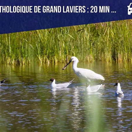 Maison Proche Baie De Somme & Le Treport-terrasse Biencourt