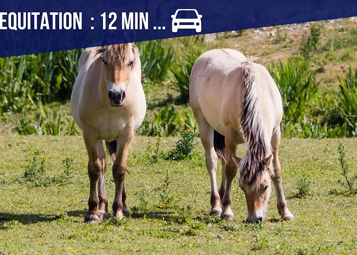 La Maison Du Chateau-confort Premium-famille-wifi Villa