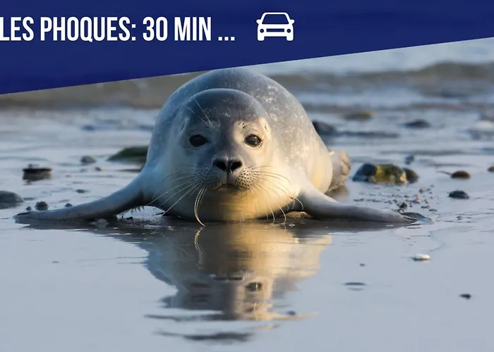 Villa La Maison Du Chateau-confort Premium-famille-wifi